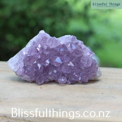 Amethyst Cluster from Uruguay