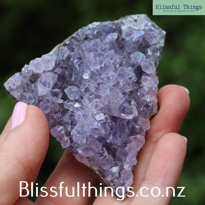 Amethyst Cluster from Uruguay