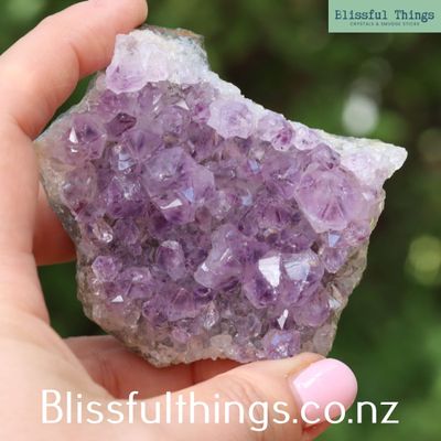 Amethyst Cluster from Uruguay