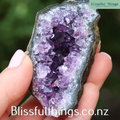 Amethyst Cluster from Uruguay