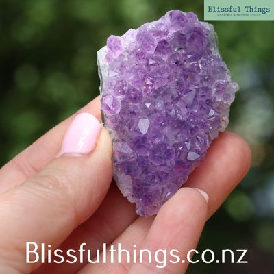 Amethyst Clusters from Uruguay x4