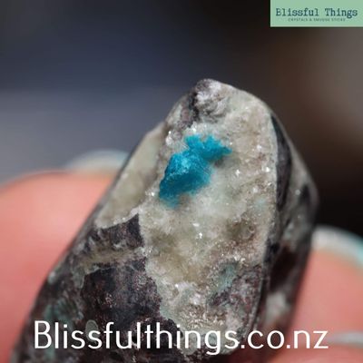 Cavansite Tumbled