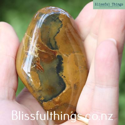 Petrified Wood from New Zealand, Tumble Polished