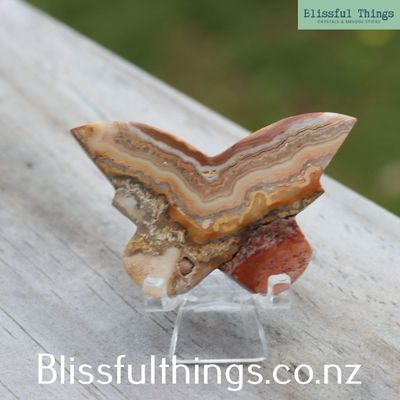 Crazy Lace Agate Butterfly Silhouette