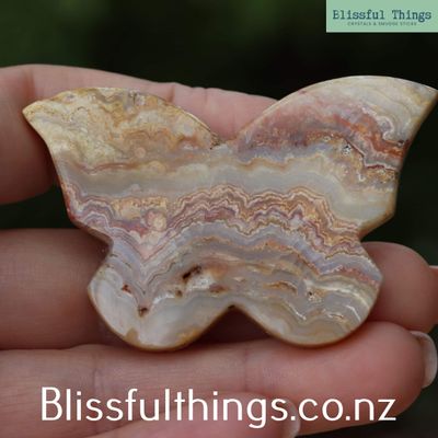 Crazy Lace Agate Butterfly Silhouette