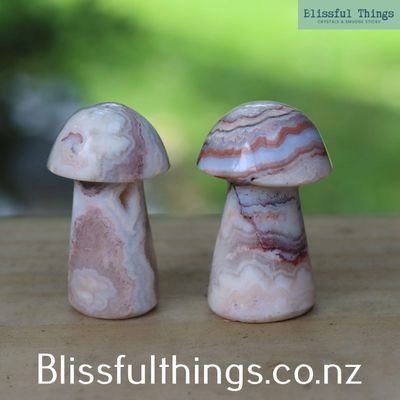 Crazy Lace Agate Mushroom