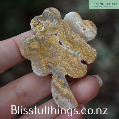 Crazy Lace Agate Four Leaf Clover Silhouette