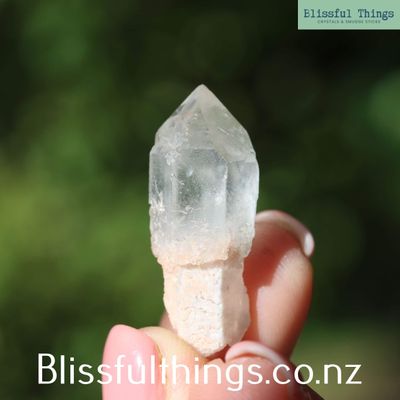 Quartz Scepter Crystal