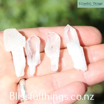 Quartz Scepter Crystals x 4