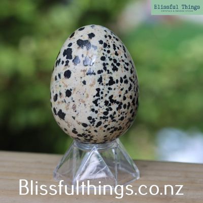 Dalmatian Jasper Egg