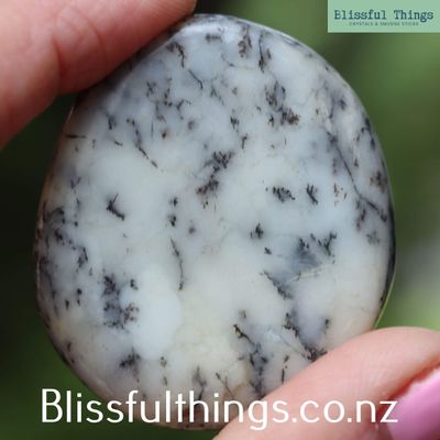 Dendritic Opal/ Merlinite Palm Stone