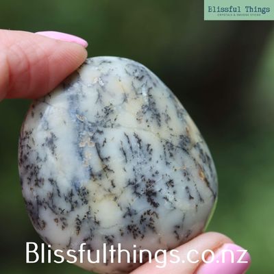 Dendritic Opal/ Merlinite Palm Stone