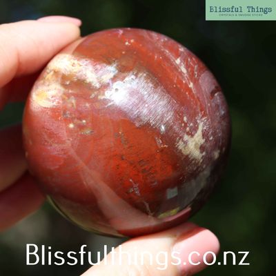 Petrified Wood Sphere/Ball