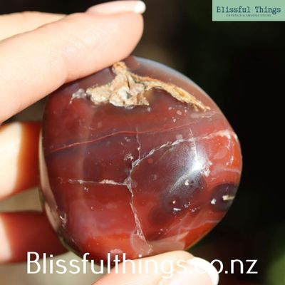 Sashe River Agate Palm Stone
