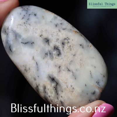 Dendritic Opal/ Merlinite -Palm Stone