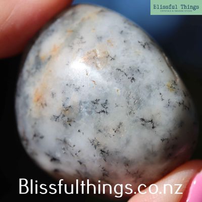 Dendritic Opal/ Merlinite Tumble Polished