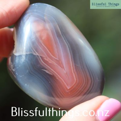 Sashe River Agate Palm Stone