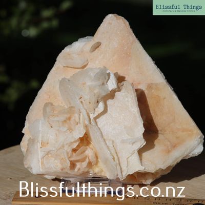 Angel Wing Calcite Specimen