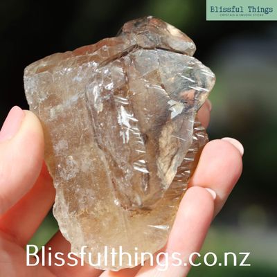 Smoky Elestial Quartz
