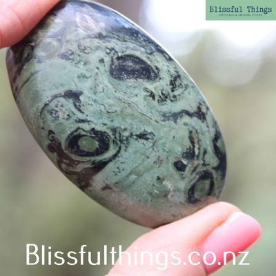 Kambaba Jasper Palm Stone