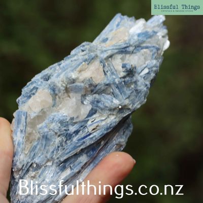 Blue Kyanite with Quartz