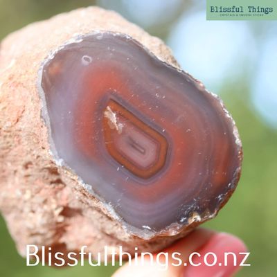 Sashe River Agate Polished Face