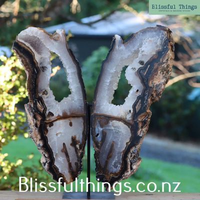 Agate Butterfly Wings on Stand