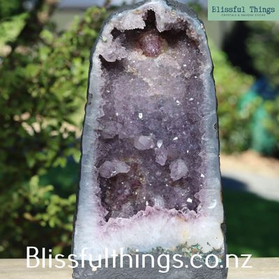 Amethyst Geode with Flower Formations