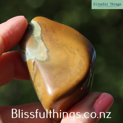 Petrified Wood from New Zealand, Tumble Polished