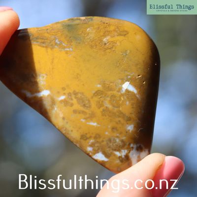 Petrified Wood from New Zealand, Tumble Polished