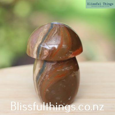 Polychrome Jasper Mushroom