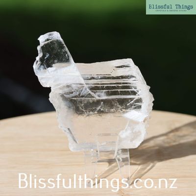 Window Selenite