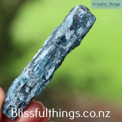 Ocean Kyanite Raw Blade