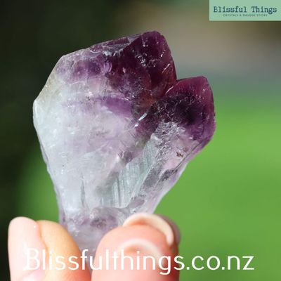 Amethyst Twin Point