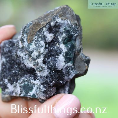 Black Amethyst Cluster