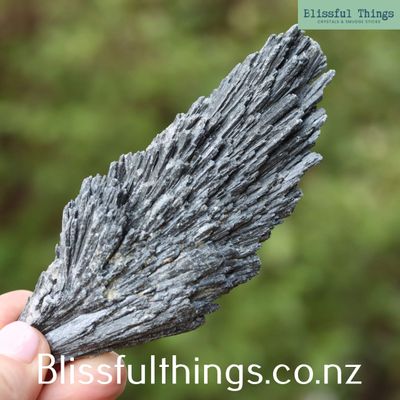 Black Kyanite Specimen