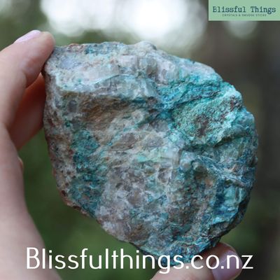 Quantum Quattro -Raw-