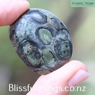 Kambaba Jasper Mini Palm Stone