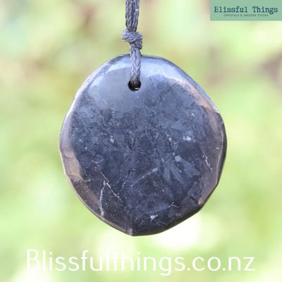 Shungite Pendant