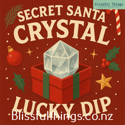 Secret Santa $20 Lucky Dip 🎁