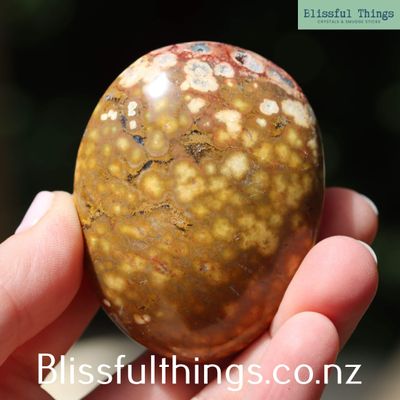 Ocean Jasper Palm Stone