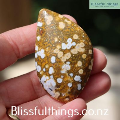 Ocean Jasper Cabochon