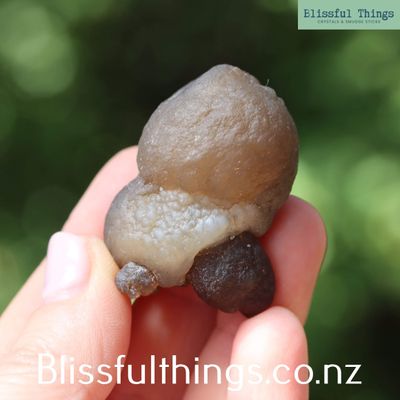 Botryoidal Chalcedony