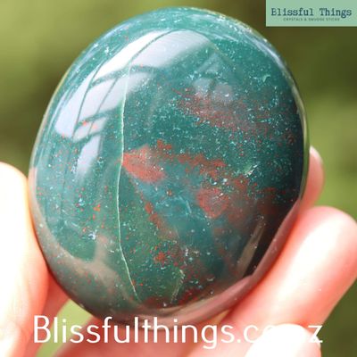 Bloodstone Palm Stone