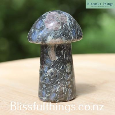 ​Que Sera Mushroom