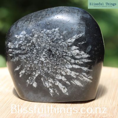 Chrysanthemum Stone Free Form