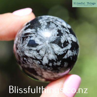 Chrysanthemum Sphere