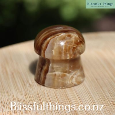 Chocolate Calcite Mushroom