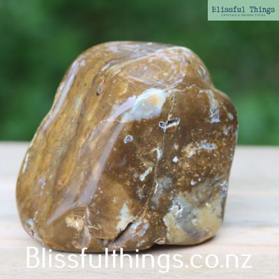 Petrified Wood from New Zealand, Tumble Polished