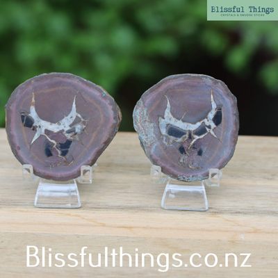 Septarian Cut and Polished Pair